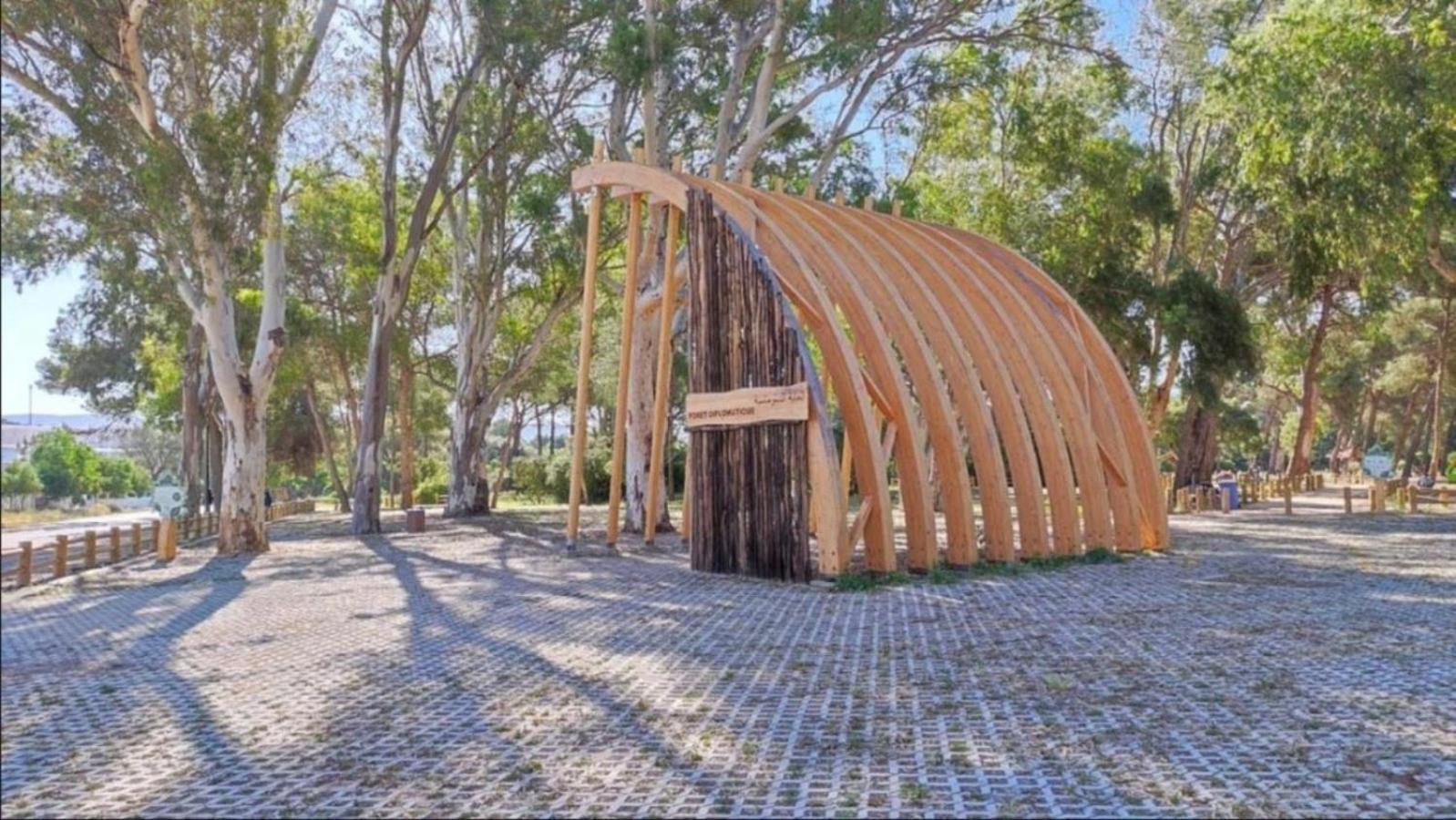 Charming, Peaceful House, Between Forest And Sea Tangeri Esterno foto